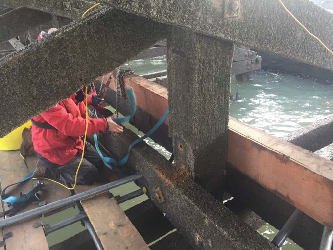 Ha’Penny Pier Timber Repairs - Phases 1