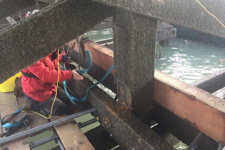 Ha’Penny Pier Timber Repairs - Phases 1